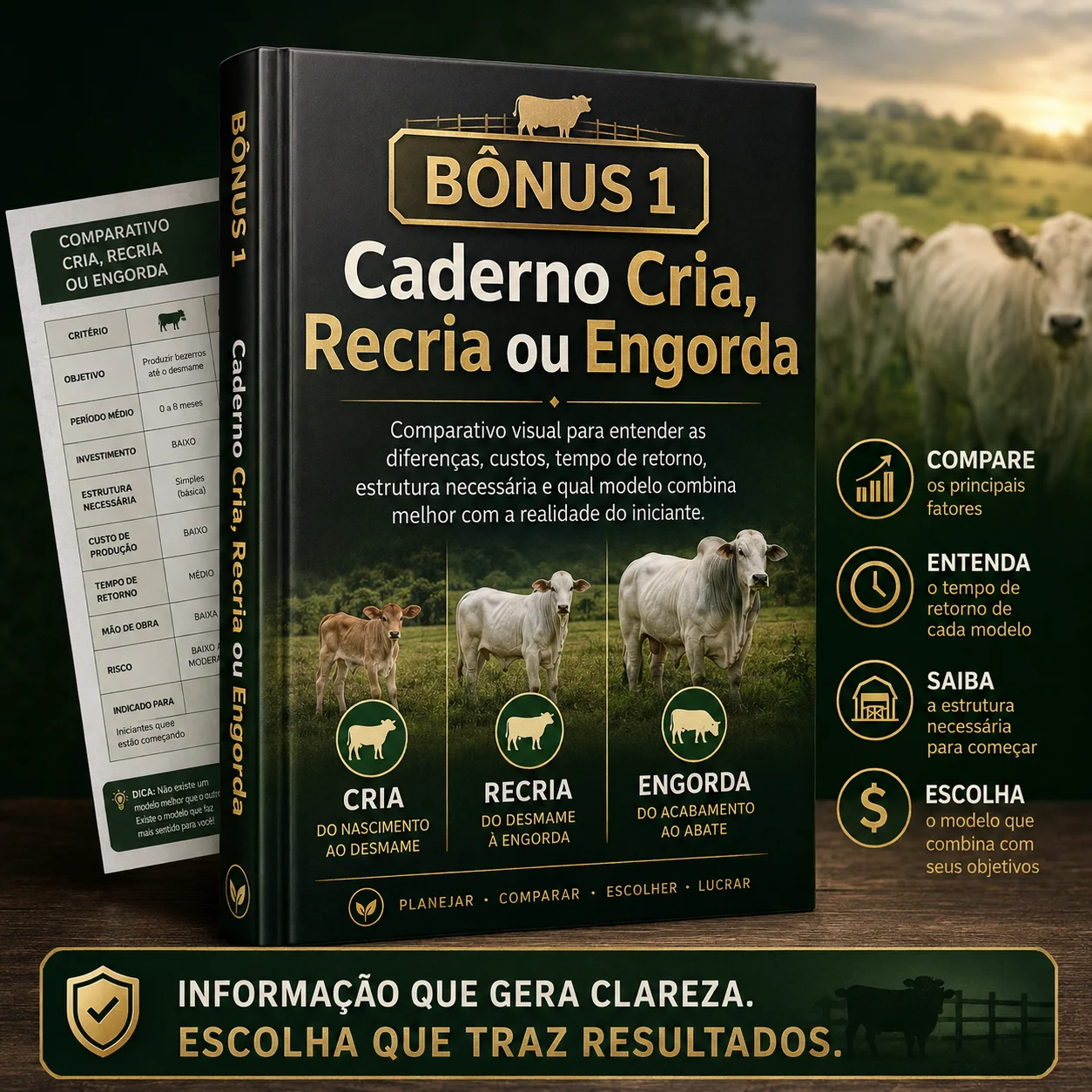 Caderno Cria, Recria ou Engorda