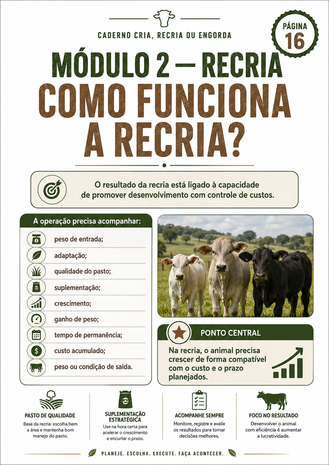 Página interna: como funciona a recria